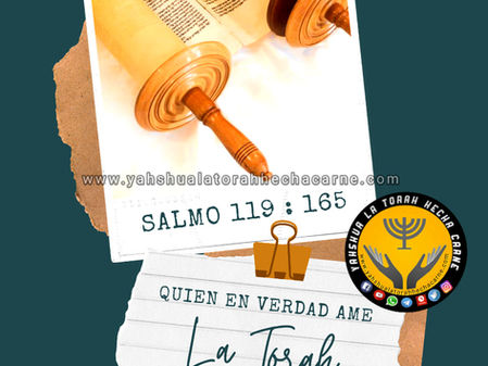 EL VALOR DE LA TORAH DE YAHWEH