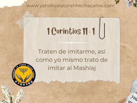 LAS CARTAS DE SHAUL PARTE 38