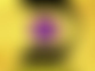 SIGNIFICADO DE LA LETRA KAF כ