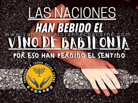 BABILONIA UN VINO EMBRAIGANTE DONDE TODOS BEBEN