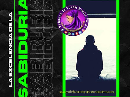 LA EXCELENCIA DE LA SABIDURIA