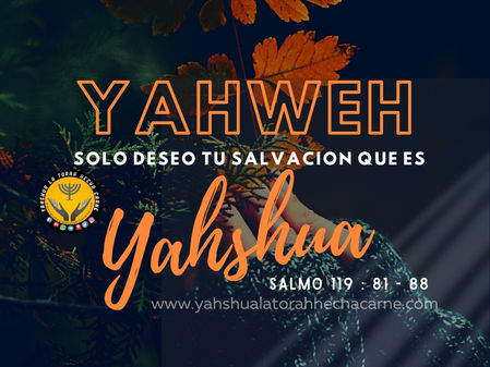 DESEO TU SALVACION - YAHSHUA (SALMO 119 : 81 – 88)
