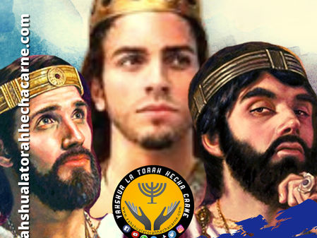 ESTUDIANDO EL LIBRO DE 1 REYES CAPITULO # 11