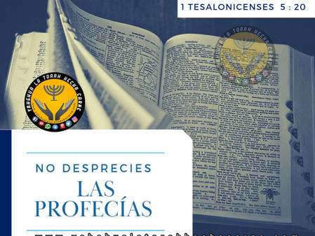 NO DESPRECIES LAS PROFECIAS