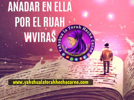 QUE QUIERE DECIR TANTA LETRA MATA