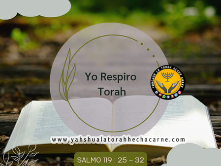 LA TORAH Y EL SOPLO DE VIDA (SALMO 119 : 25 – 32)
