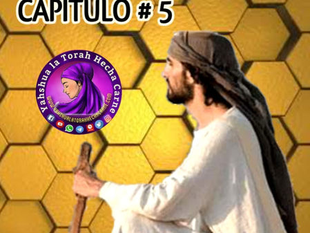 ESTUDIANDO EL LIBRO DE JEREMIAS CAPITULO # 5 