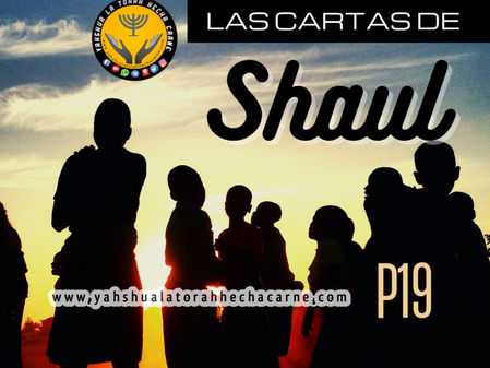 LAS CARTAS DE SHAUL PARTE # 19