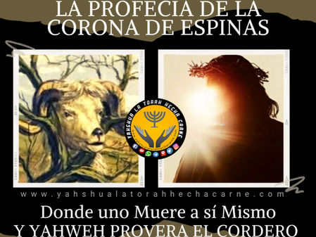 LA PROFECIA DE LA CORONADE ESPINAS
