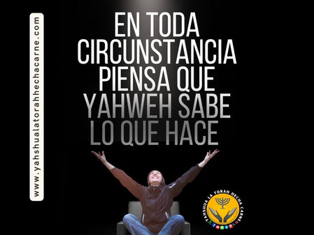 ¿DONDE ESTAN NUESTRO PENSAMIENTO?(LAS CARTAS DE SHAUL P82)