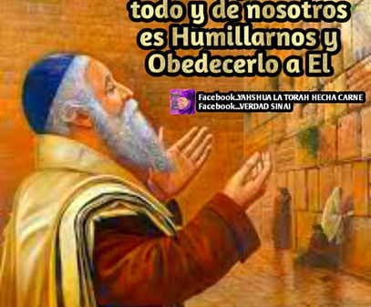 DE YAHWEH PROCEDE TODO