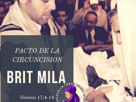 LA BRIT MILA (Pacto de la Circuncisión)