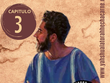 ESTUDIANDO EL LIBRO DE 1 TIMOTEO CAPITULO #3