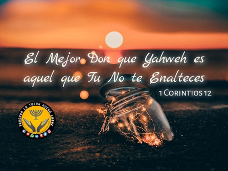 LAS CARTAS DE SHAUL PARTE 39