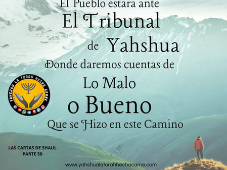 LAS CARTAS DE SHAUL PARTE 50