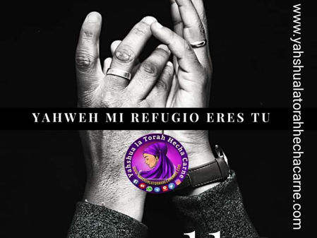 EL REFUGIO DEL PUEBLO DE YISRAEL