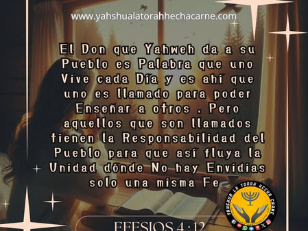 LAS CARTAS DE SHAUL PARTE 73