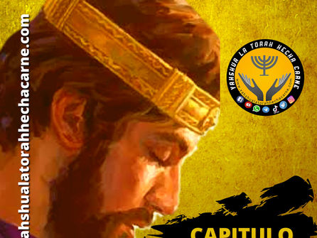 ESTUDIANDO EL LIBRO DE 2 SAMUEL CAPITULO # 20