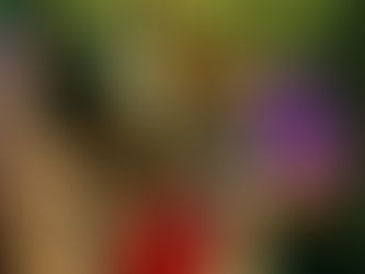 ESTUDIANDO EL LIBRO DE NUMEROS CAPITULO # 18