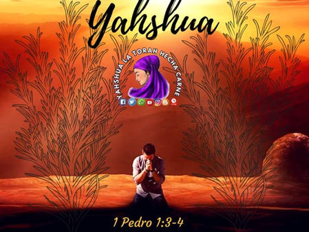 LA HERENCIA DE YAHSHUA
¿QUIEN LA OBTENDRA?