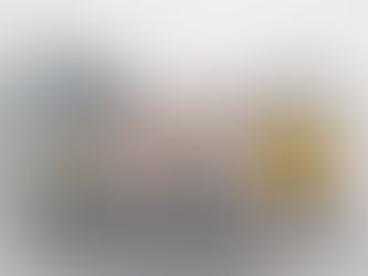 LA ESPERANZA QUE NO AVERGUENZA