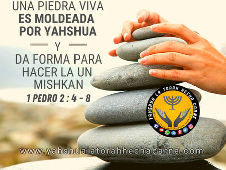 PIEDRAS VIVAS