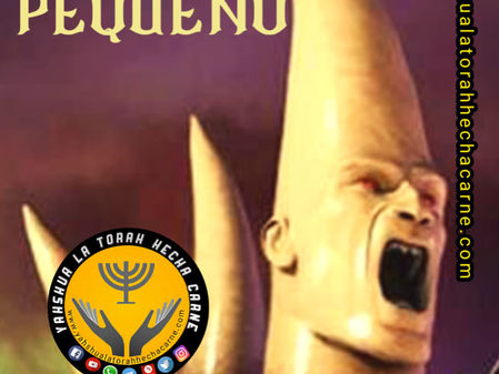 EL PERFIL CUERNO PEQUEÑO