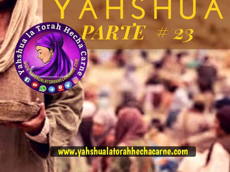 SERIE LAS PALABRAS DE YAHSHUA PARTE # 23