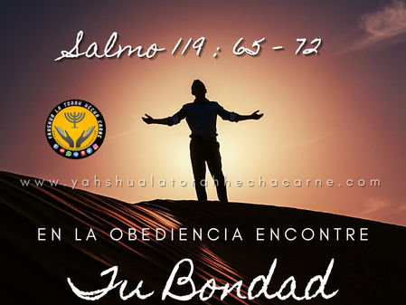 LA BONDAD DE YAHWEH EN SU PALABRA ( SALMO 119 : 65 – 72 )