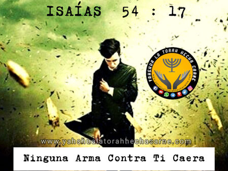 NINGUNA ARMA CONTRATI PROSPERARÁ