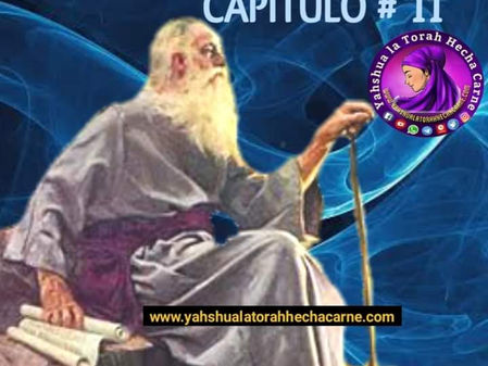 ESTUDIANDO EL LIBRO DE JUAN CAPITULO # 11