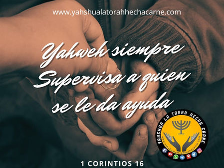 LAS CARTAS DE SHAUL PARTE 44