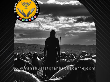 EL DEBER DEL PASTOR /ROHE