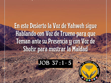 LA VOZ DE YAHWEH EN EL DESIERTO