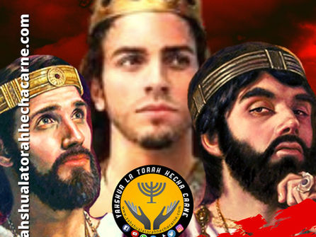 ESTUDIANDO EL LIBRO DE 1 REYES CAPITULO # 8