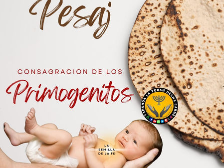 LO PROHIBIDO EN PESAJ Y LA CONSAGRACION DE LOS PRIMOGENITOS