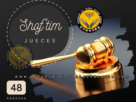 PARASHA # 48 *SHOF'TIM* JUECES