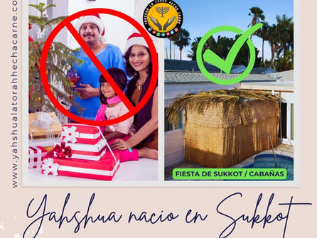 ¿YAHSHUA NACIO EN DICIEMBRE?