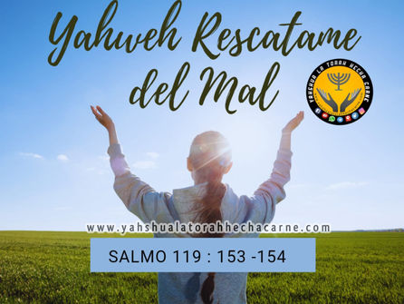 RESCATAME DEL MAL ( SALMO 119 :153 – 160 )