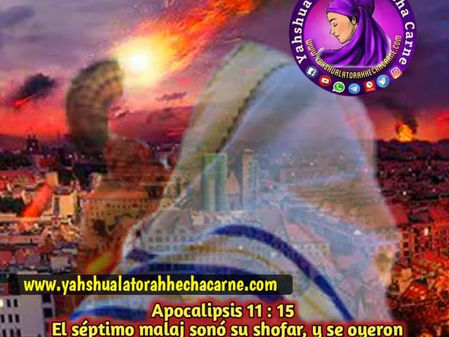 LOS ACONTECIMIENTOS FINALES Y EL SEPTIMO SHOFAR