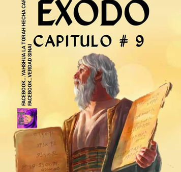 ESTUDIANDO EL LIBRO DE EXODO CAPITULO 9...