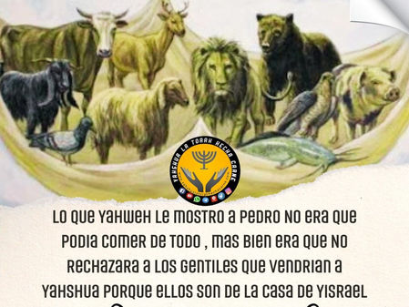 ¿PODEMOS COMER DE TODO?