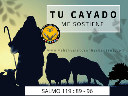 TU CAYADO ME SOSTIENE (SALMO 119: 89 – 96 )