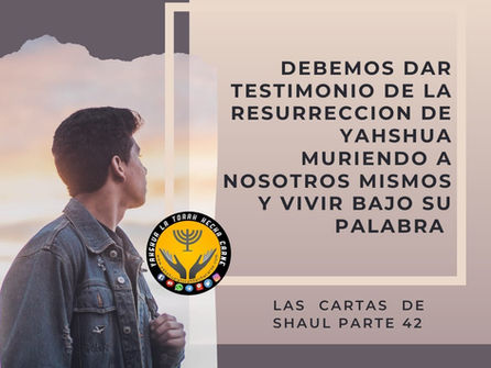 LAS CARTAS DE SHAUL PARTE 42