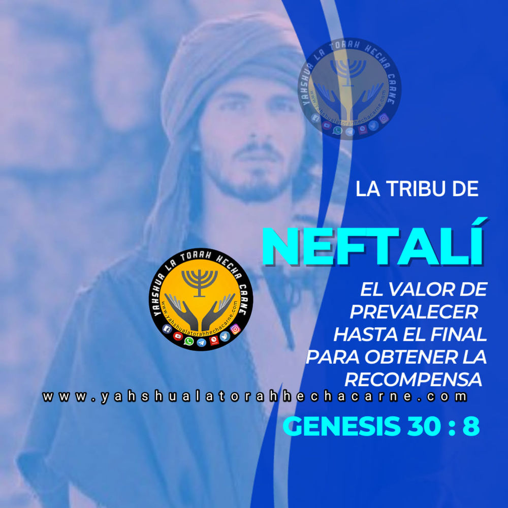 SIGNIFICADO DE LA TRIBU DE NEFTALÍ