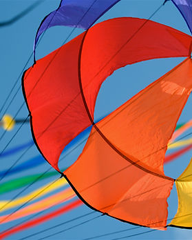 Kites in the Sky