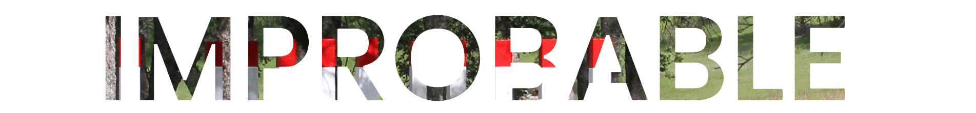 IMPROBABLE_3.gif