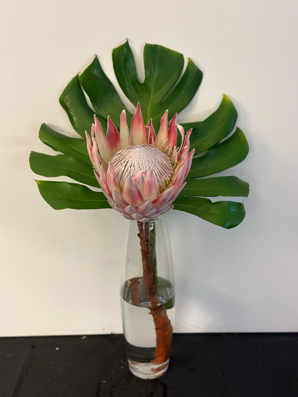 Protea Farm- Protea Arrangements