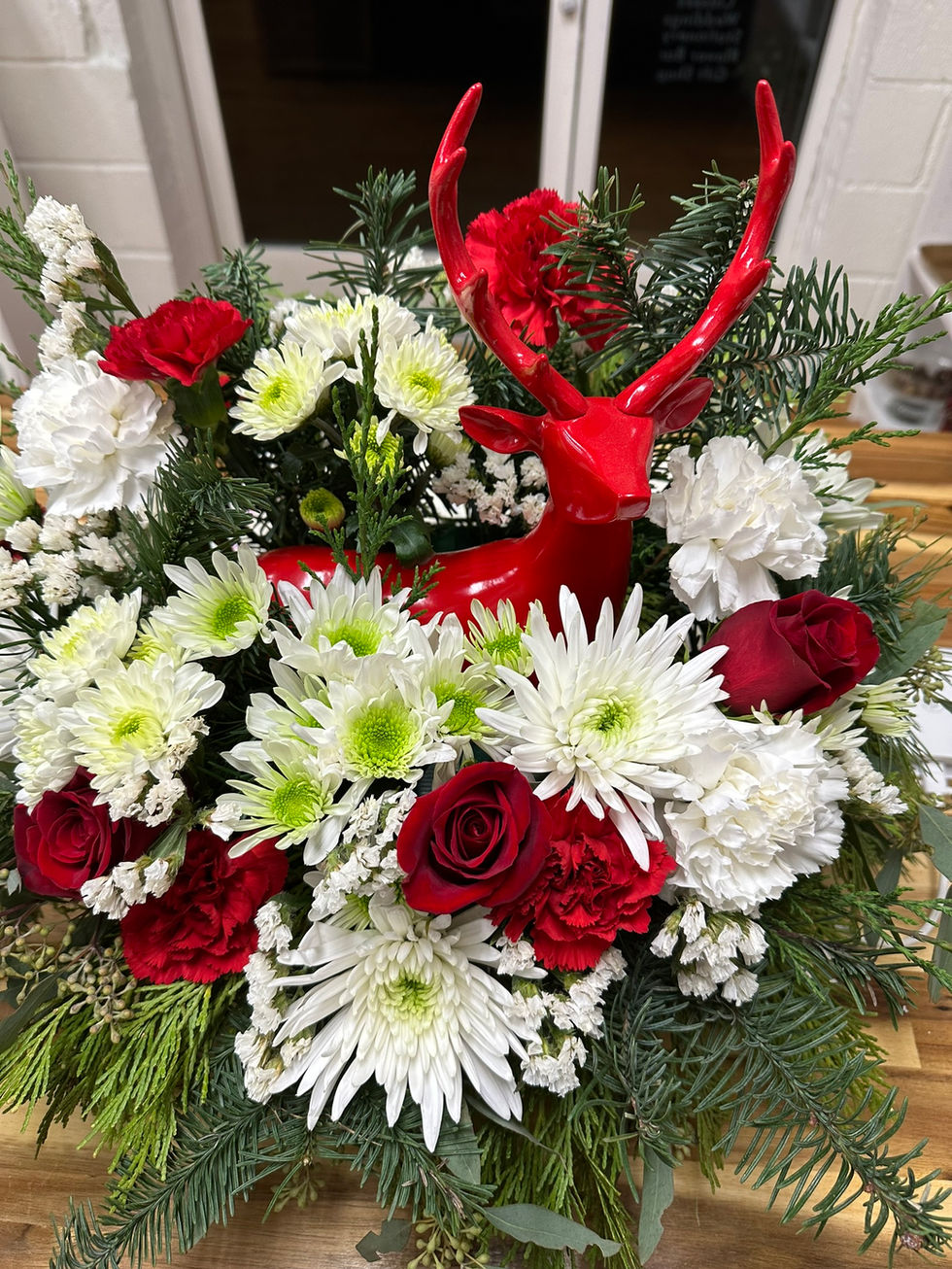 Protea Farm Seasonal Arrangements