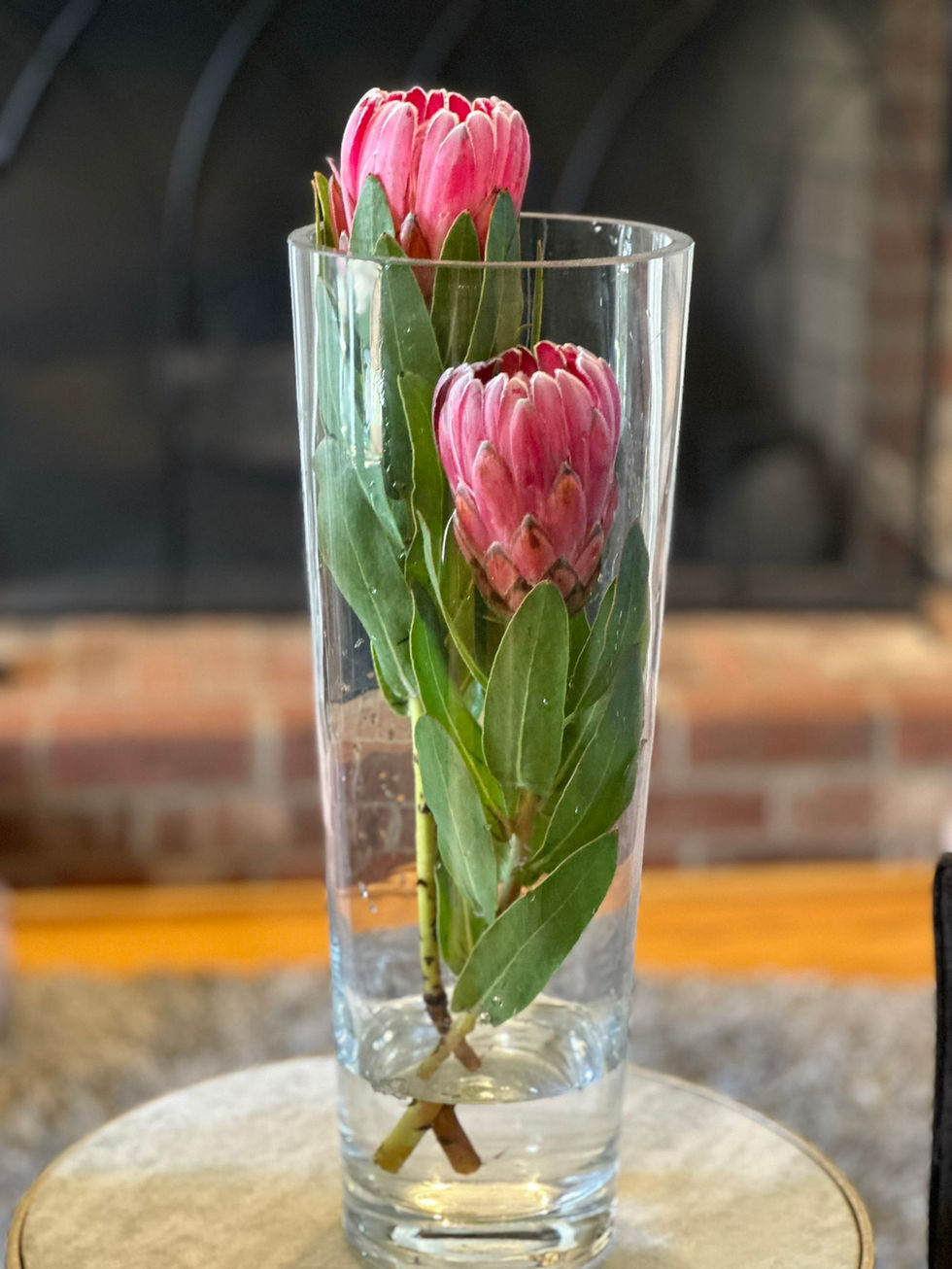Protea Farm- Protea Arrangements